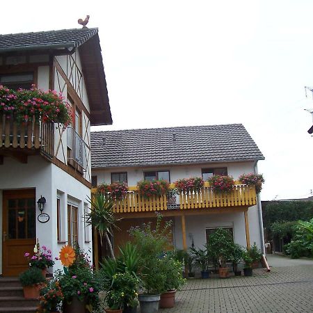 דירות Wittenweier Meyerhof מראה חיצוני תמונה